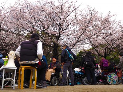 お花見2016 開催風景